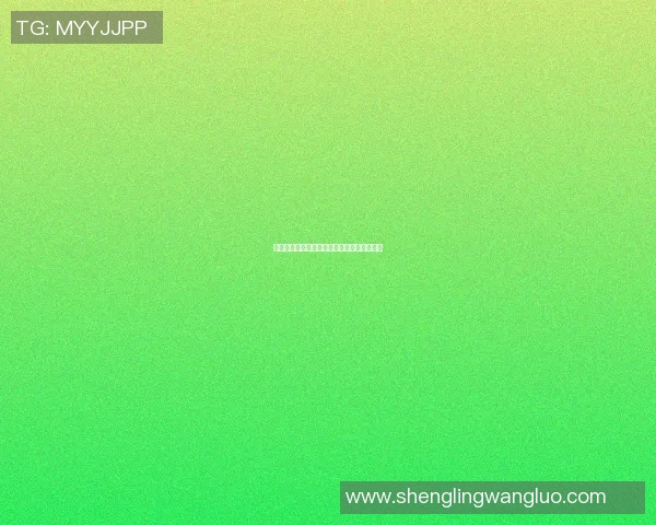 提升羽毛球技术的必备训练器材全解析与推荐